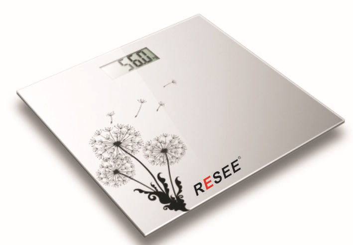 RS -6003electronic weight scale
