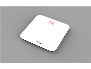 How to buy high quality weight scale?