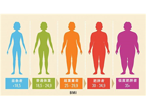 脂肪秤测量BMI重量