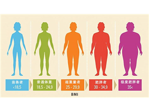Fat scale weigher measures BMI weight