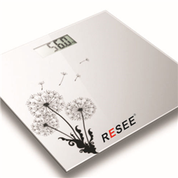 RS -6003electronic weight scale