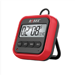 Timer rs-302