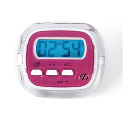 Timer rs-308